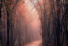 奇异果体育：世巡赛北京站3金收官！中国短道队将前往韩国中新体坛.