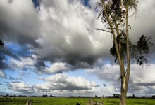 劳森重返红牛二队感艰难 费斯塔彭点赞批评红牛贴文.