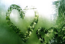 [澳网]张盛：托多尼发球好 正手具有进攻能力.