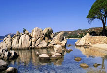 奇异果体育:斯瓦泰克,主场优势?对不起!郑钦文也有胜算.